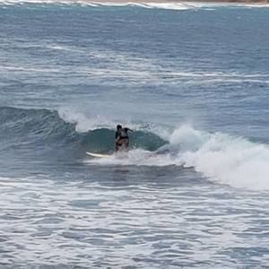 Meet your Posher, Joss